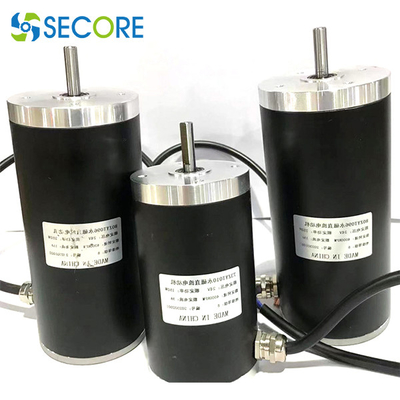 24V 250W Fully Enclosed Waterpoof Dc Motor IP68 Brushed Motor 0.6Nm Brush Motor